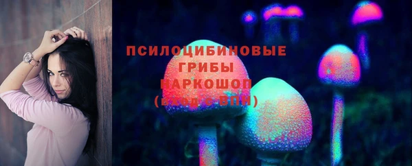 круглые Кодинск