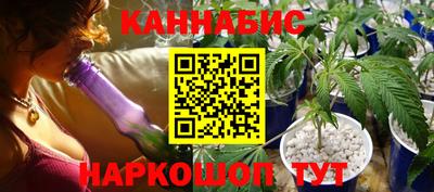 PSILOCYBIN Можга