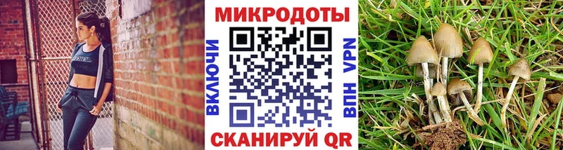 блэк спрут tor  Ревда  Галлюциногенные грибы прущие грибы  продажа наркотиков 