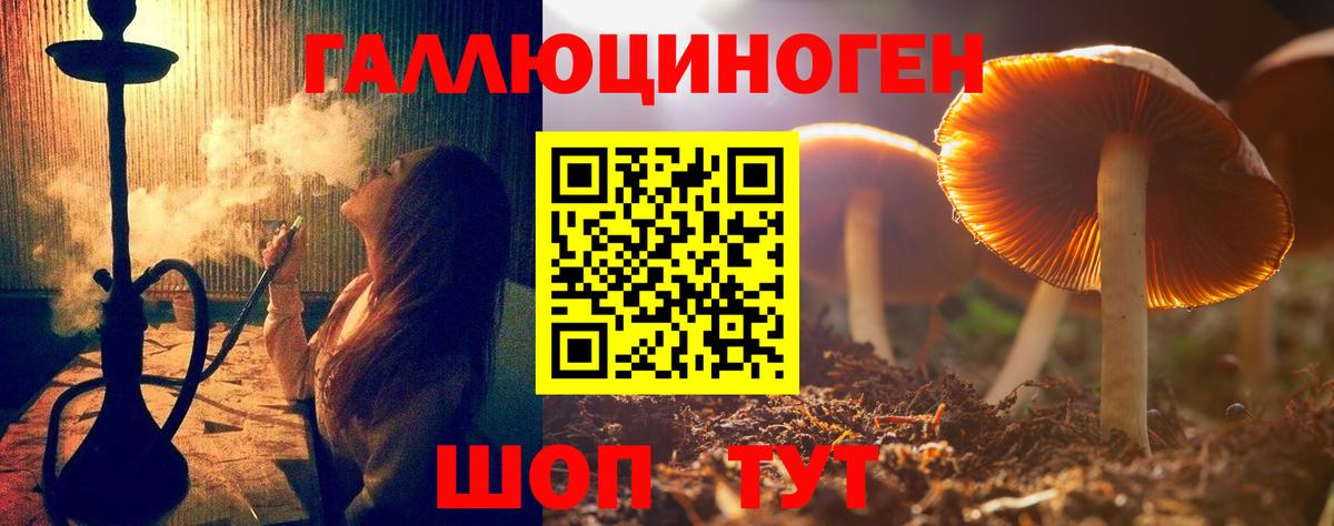 Ревда  Галлюциногенные грибы Psilocybine cubensis  Вход с VPN  Псилоцибиновые грибы прущие грибы 