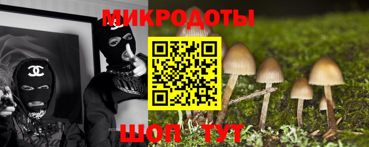 Псилоцибиновые грибы прущие грибы Ревда