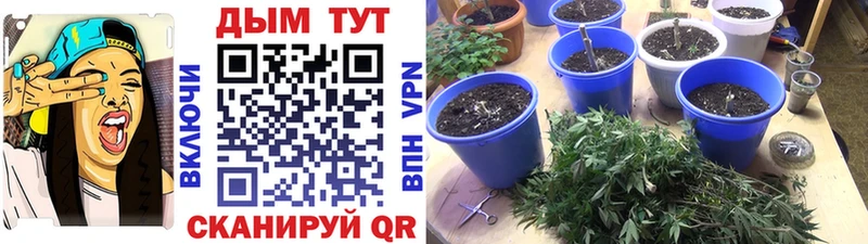 где купить наркоту  сайты даркнета клад  МЕГА ссылки  Марихуана семена  Ревда 